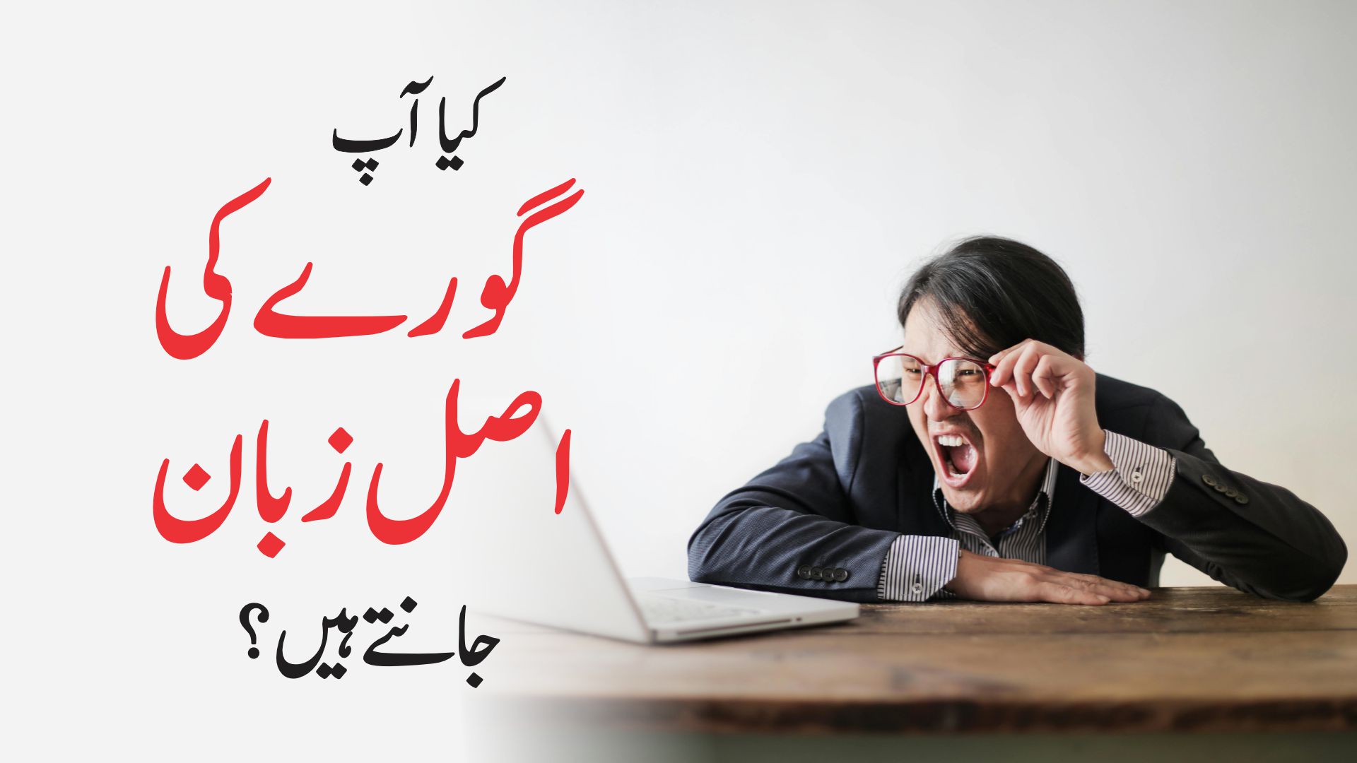 Did you know Native English Language ?